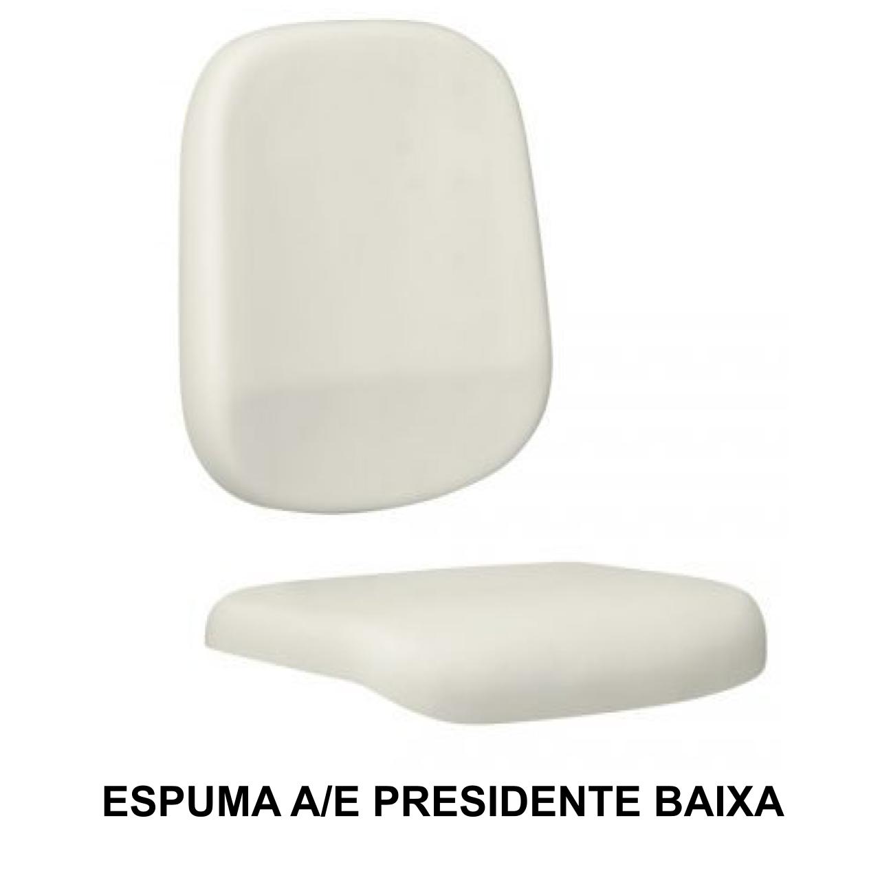 Conjunto de Espuma ASSENTO / ENCOSTO Presidente Baixa LISA – 99210 MÓVEIS PADRÃO